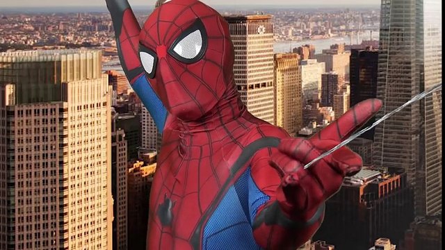 SPIDER-MAN vs IRON MAN The Stark Internship (PARODY!!) SPIDER-GWEN, MARY JANE | Superheroes | Spiderman | Superman | Frozen Elsa | Joker