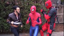 SPIDER-MAN vs WOLVERINE & DEADPOOL - Movie Battle | Superheroes | Spiderman | Superman | Frozen Elsa | Joker