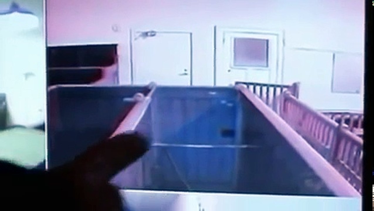 Ghost Hunters International S02E11 Tasmania De.a.th Sentence