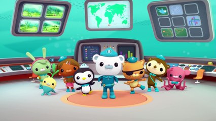 Octonauts: Creature Report Compilation - S 1