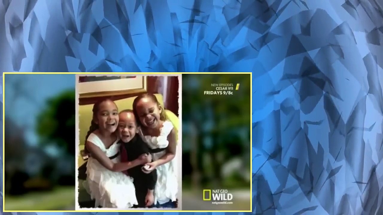 Cesar 911 S02E07 Raging Pit Bull