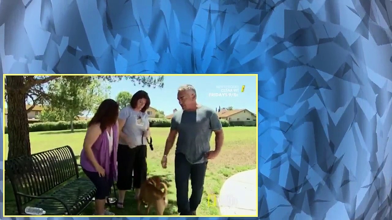 Cesar 911 S03E02 Simon Strikes Again