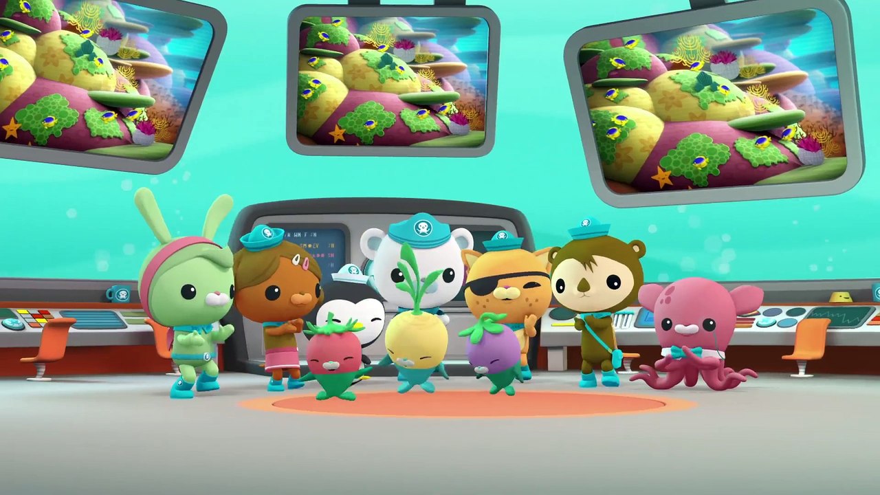 Octonauts: Creature Report Compilation - S 2 - video Dailymotion