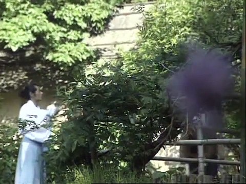 Ancient Warriors [19/20] - Ninja Warriors of the Night