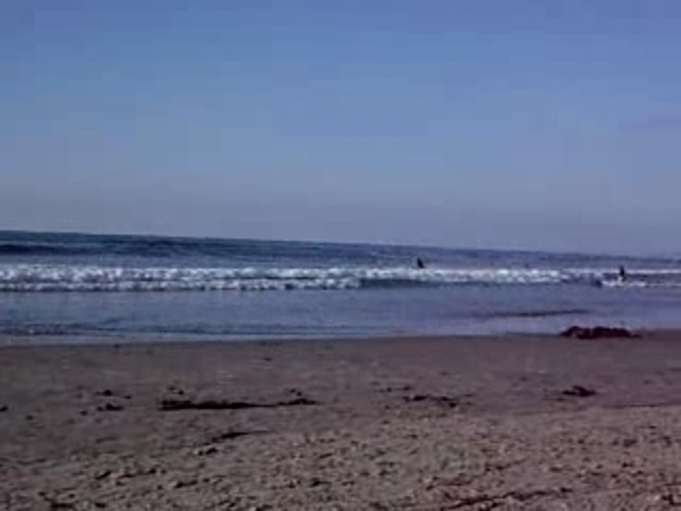 Surfers in La Jolla Beach