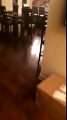 When you get caught having a late night snack