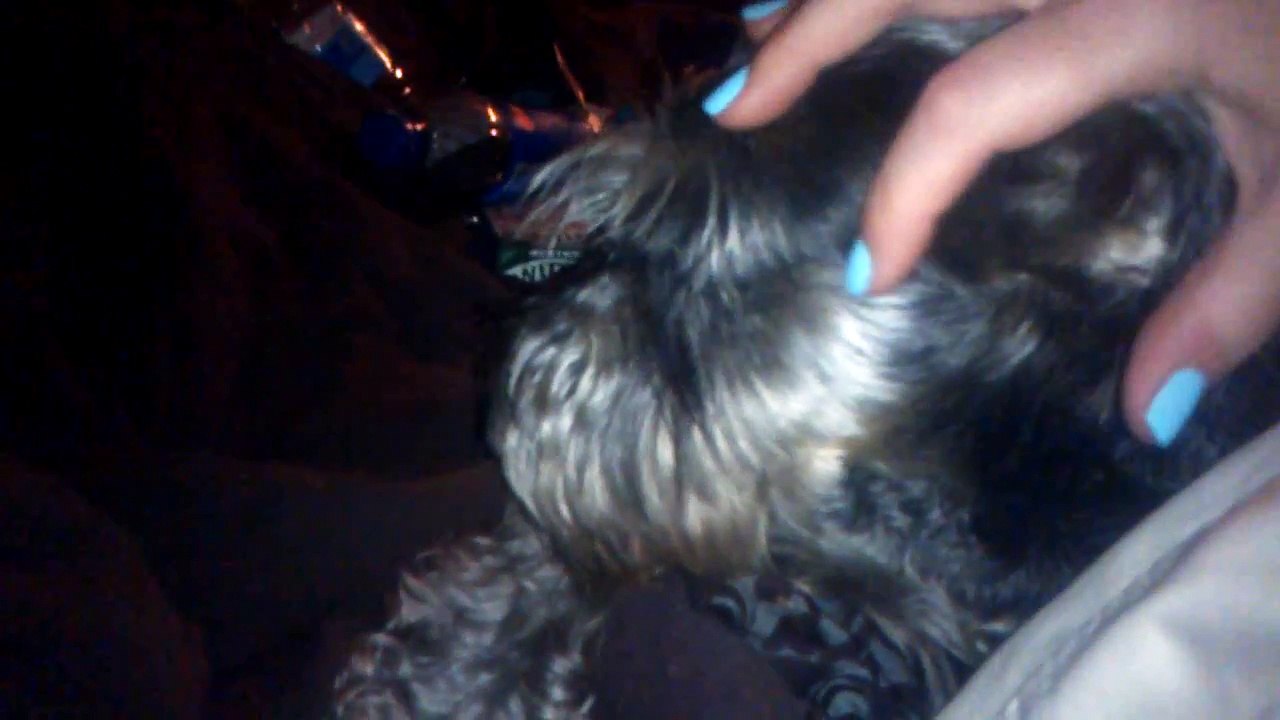 pretty little maggie and odi/jame