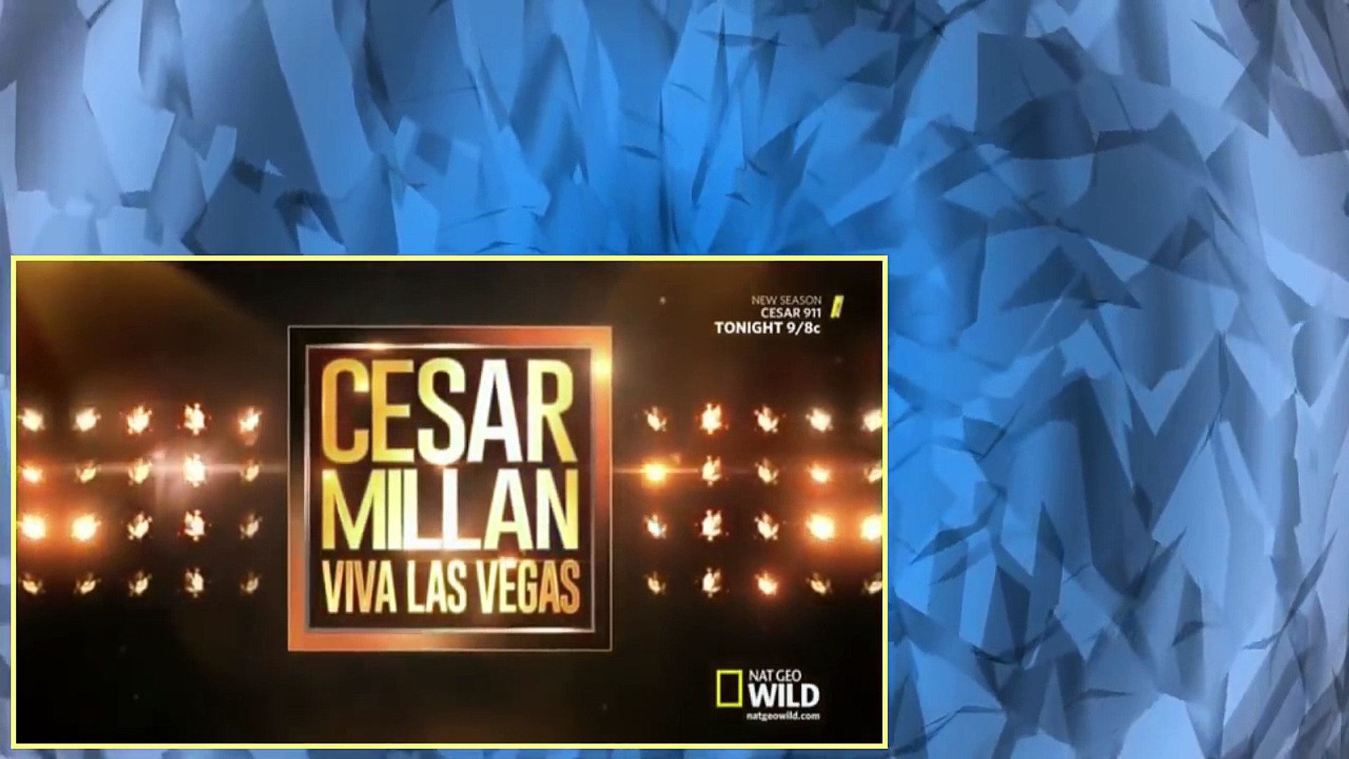 Cesar 911 S02E00 Cesar Millan Viva Las Vegas! part 2/2 - video Dailymotion