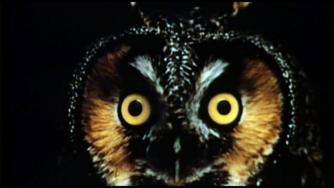 Evolution 1/7 - Darwin's Dangerous Idea part 2/3