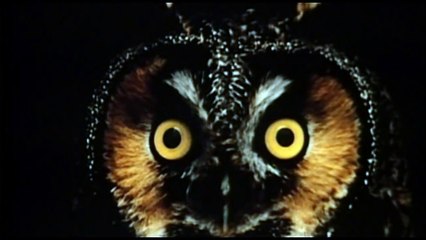 Evolution 1/7 - Darwin's Dangerous Idea part 2/3