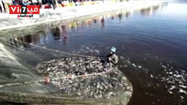 صحراء جنوب سيناء تتحول من أرض صفراء إلى خضراء مثمرة