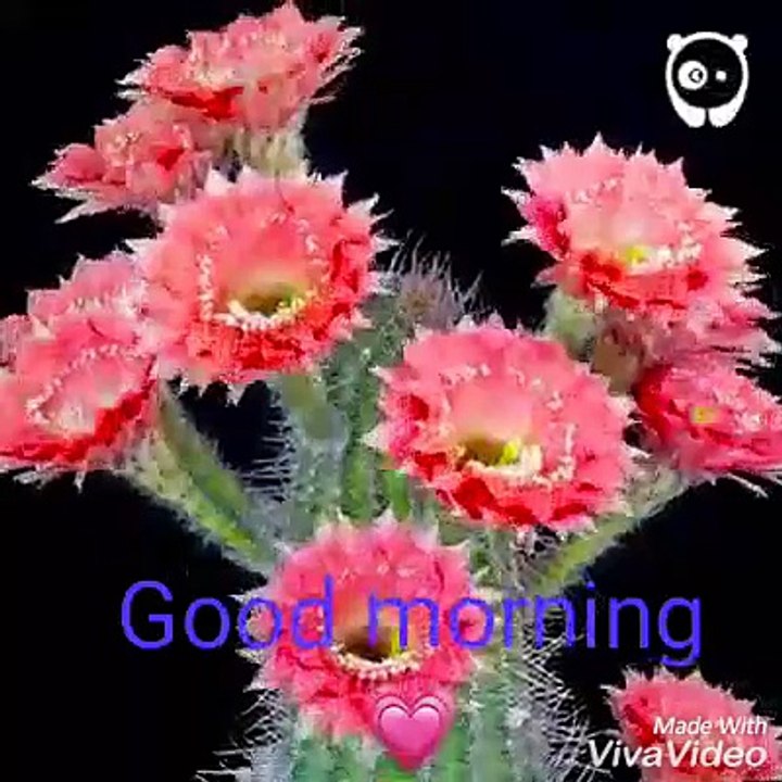 good moring 2018