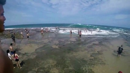 Des dizaines de touristes se font faucher par une énorme vague en Australie