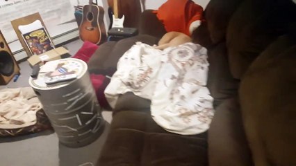 Il surprend son chien en train de dormir en rentrant du travail