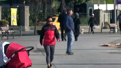 İstanbul Boğazı'nda istavrit bolluğu - İSTANBUL