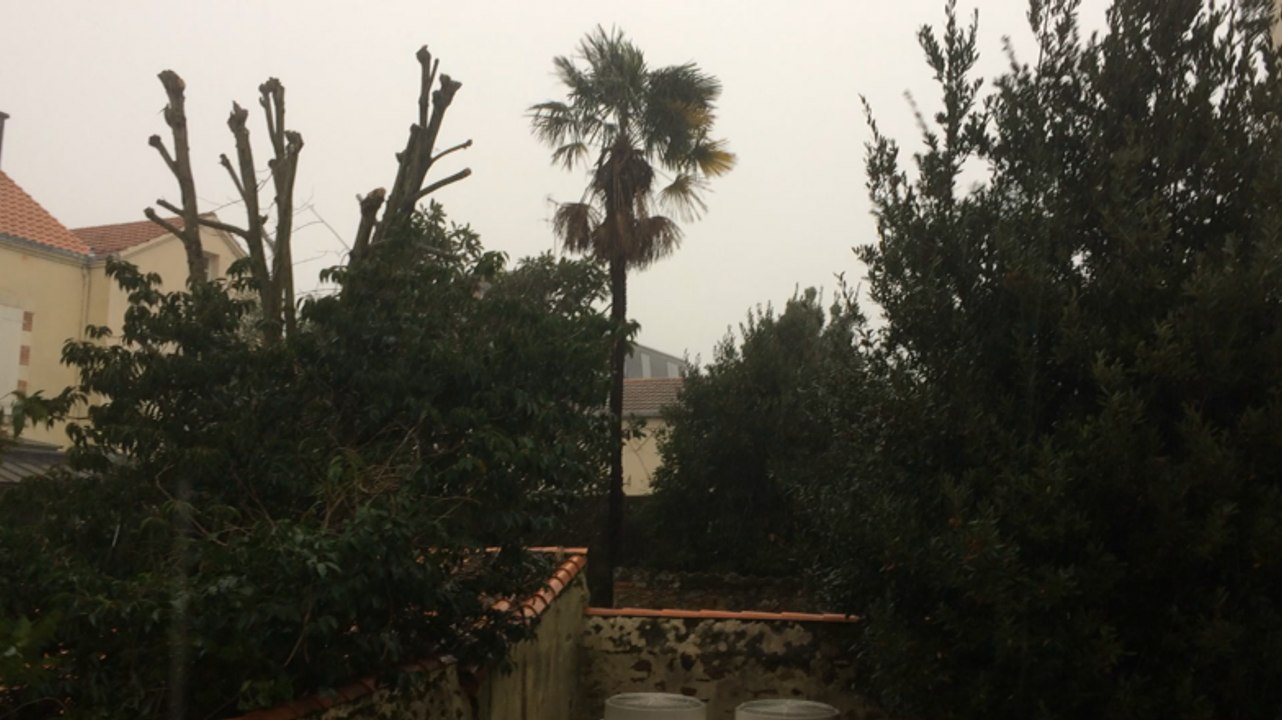 Tempête Carmen