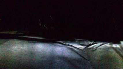 Fireworks with Bebop - 01.01.2018