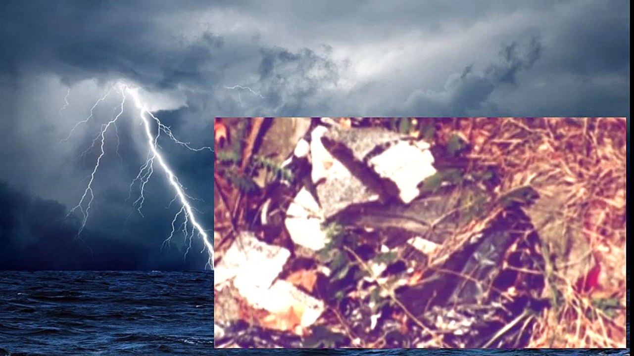 Interview with a Serial Killer 2008 WS PDTV XviD