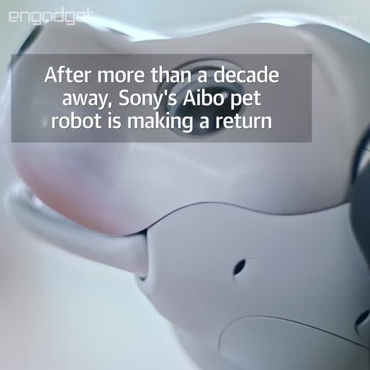 Sony Aibo robotic dog