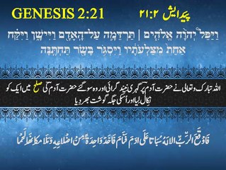 Adam’s Rib (Part 03) - حضرت آدم کی پسلی