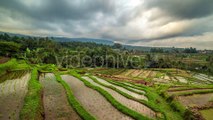 Beautiful Jatiluwih Rice Terraces in Bali, Indonesia by Timelapse4K