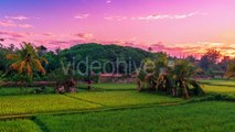 Beautiful Sunrise Over the Jatiluwih Rice Terraces in Bali, Indonesia by Timelapse4K