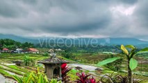 Cloudy Over the Jatiluwih Rice Terraces in Bali, Indonesia by Timelapse4K