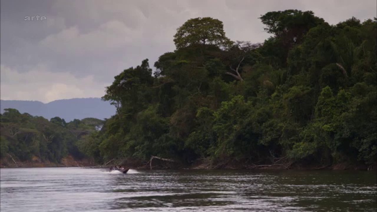 Die spinnenjäger von venezuela