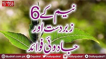 Sixth and Great Benefits of Neem