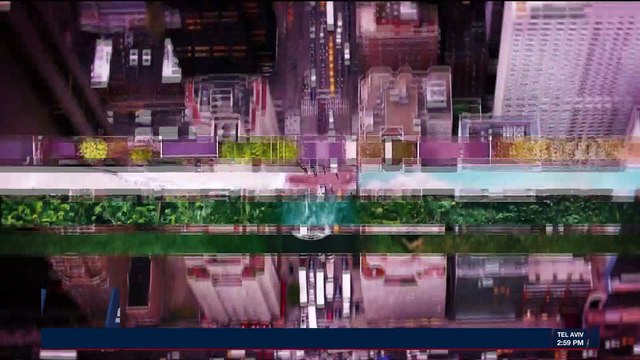 TRENDING | It's an Israel thing: what's hot in the Holy Land | Monday, January 1st 2018