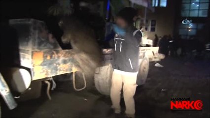 Hakkari'de 167 Kilo Eroin Ele Geçirildi