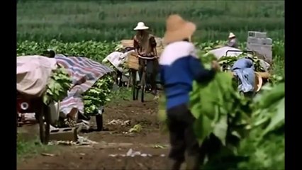 Ancient Chinese Explorers to America pat 1 of 2 HD