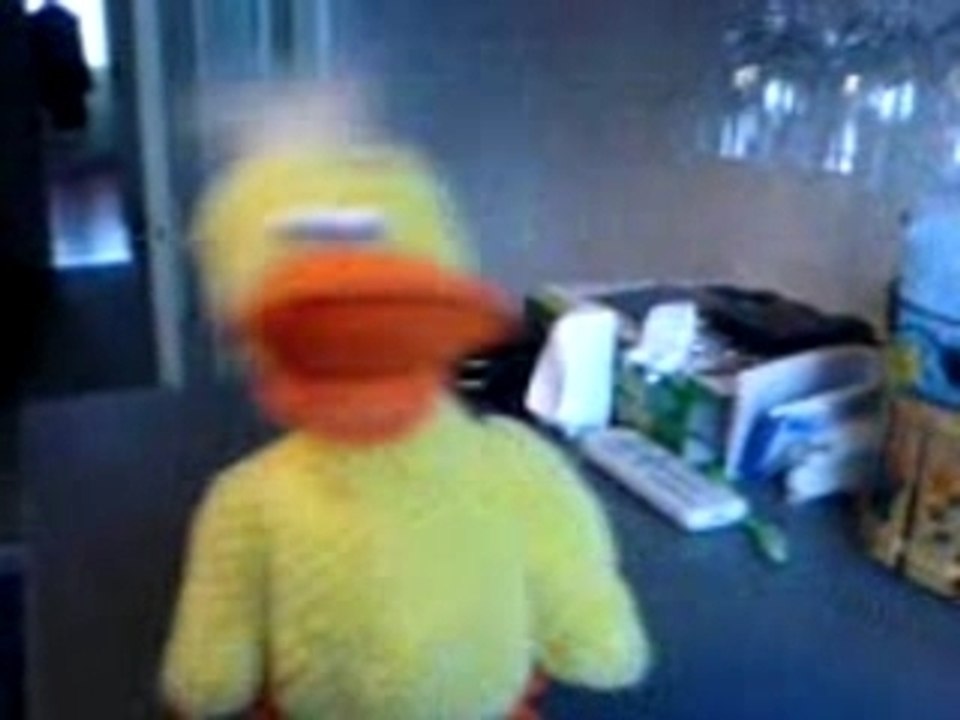 CANARD