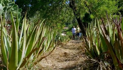 Ben Fogle New Lives In The Wild S05E05