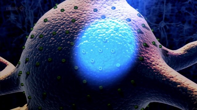 BBC Horizon 2012 - Playing God HD part 2/2