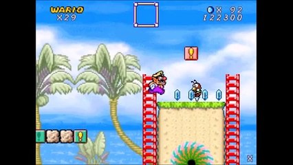 Wario's Adventure Beach - Custom Wario Land Flash Level