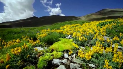 DEOSAI National Park  Skardu, Northern Areas of Pakistan