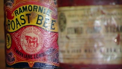 Life After People S01E01 - The Bodies Left Behind