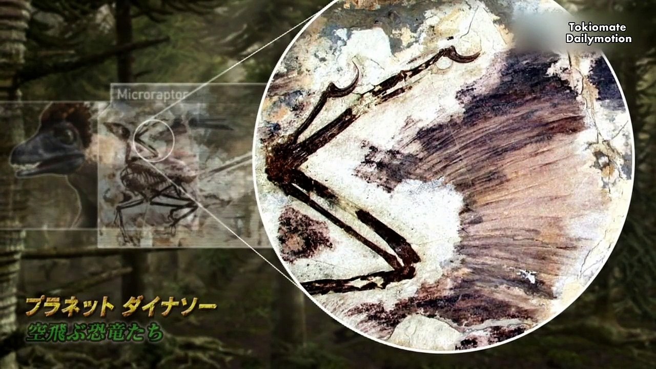 Planet Dinosaur E 3