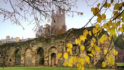 King Alfred and the Anglo Saxons S01E02 The Lady of the Mercians part 1/2