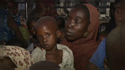 700 personas escapan del yugo de Boko Haram