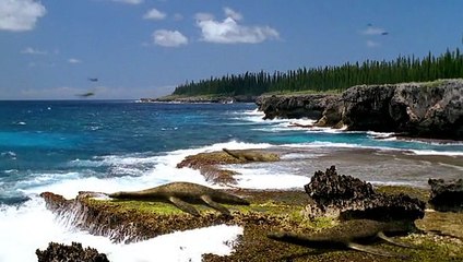 Walking With Dinosaurs - Ep 3  Cruel Sea