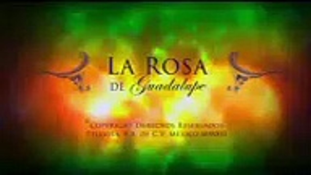 LaRosade Guadalupe Con pompas de jabon, Tv onli...