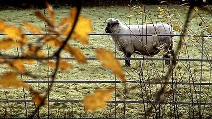 Victorian farm S01E01 part 2/2