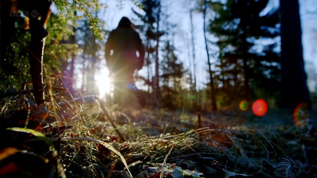 Vikings The Trading Empire Part 2 part 1/2