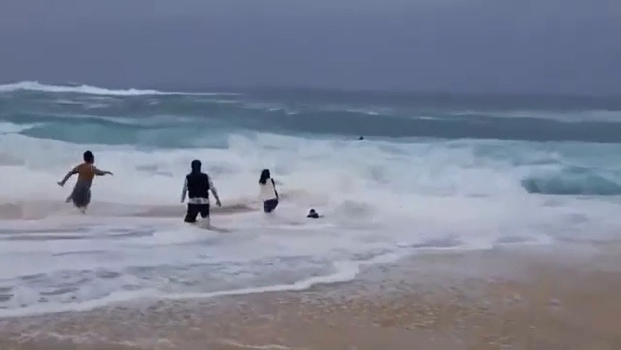 Des enfants se font emporter par une vague.