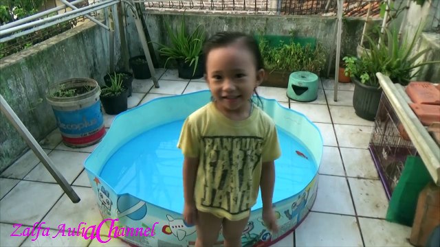 Mandi Sama Ikan Dan Menangkap Ikan Koi Di Kolam Anak