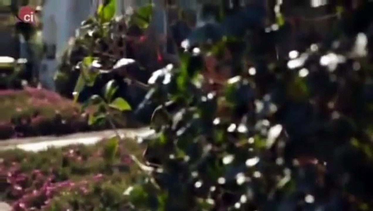 Look Whos Stalking Ryan Starts Stalking