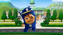 ⚡ Baby Learn Colors with Paw Patrol Transforms Into Oddbods _ Learning Vide