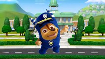 ⚡ Baby Learn Colors with Paw Patrol Transforms Into Oddbods _